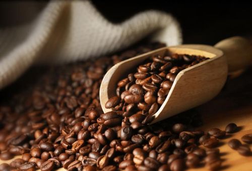 Roasted Coffee Beans, Shelf Life : 6 Months