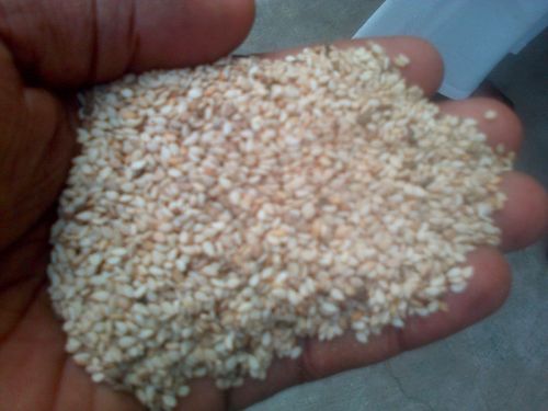 African Natural Sesame Seeds, Moisture : < 6%