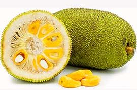 Jack Fruit