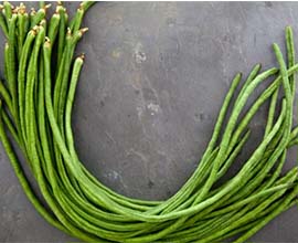String Beans
