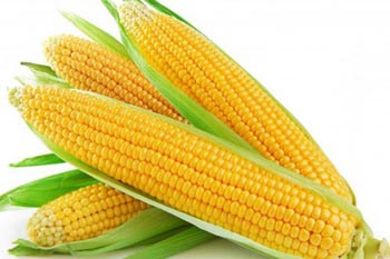 Fine Sweet Corn