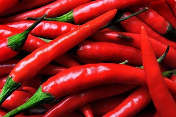 Hot Red Chilli