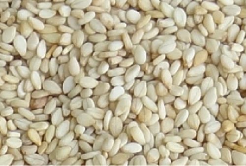 Sesame seeds, Container Size : 20 Feet Container