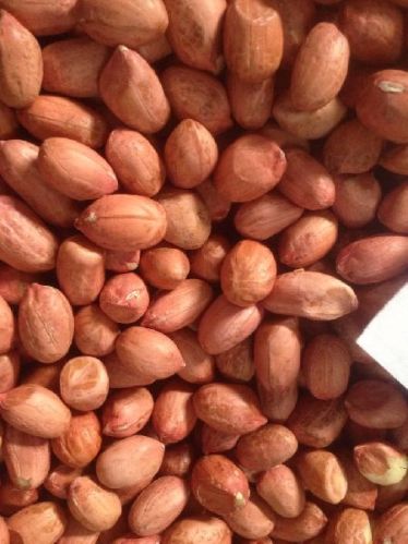 Peanut, Packaging Type : Bag