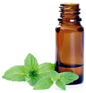 Peppermint Essential Oil, Grade : Standard