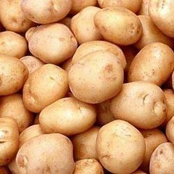 Badshah Potato