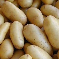 Chipsona Potato