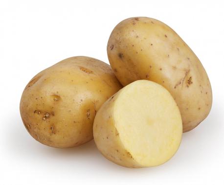 Fresh Potato