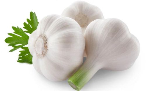 Garlic, Number Of Flower : Vegetable