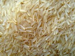 1509 Golden Basmati Rice