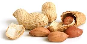 Groundnuts