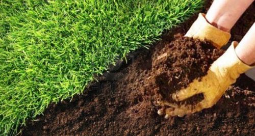 Organic Vermi Compost Fertilizer