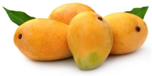 Parin Alphonso Mango, Packaging Type : Export Packing