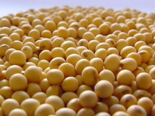 Soybeans