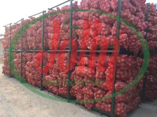 Fresh red onion, Brand Name : Jolly Food