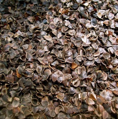 Animal feed, Size : 8 mm