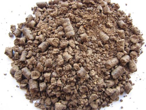 Groundnut Seed Meal, For Animal Feed, Purity : 100%