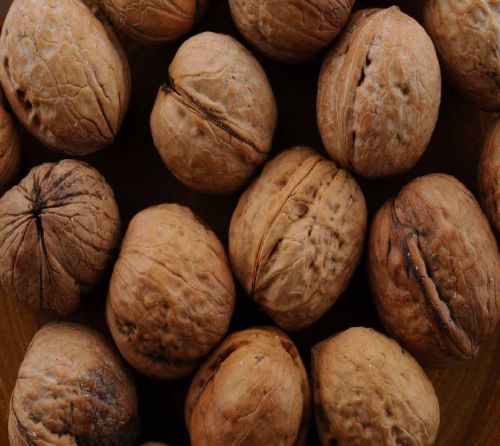 Shelled Walnuts, For Food, Shape : Round