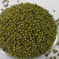Green mung beans