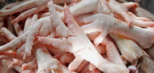 Chicken Feet, Feature : Low Fat, Nutritious, Vegans