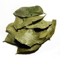 Curry leaves, Packaging Type : green
