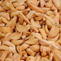 Dehydrated garlic flakes, Grade : AAA, Packaging Type : whight