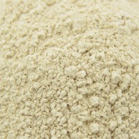 Dehydrated garlic powder, Odor : Fresh, Clean