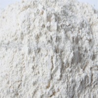 Dehydrated White Onion Powder, Packaging Type : whight