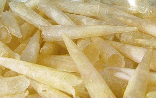 Dried Fish Maw - Perfect Quality - Competitive Price