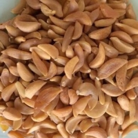 Common Dried Garlic Flakes Premium