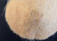 Dried Garlic Granules, Color : whight