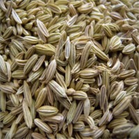 Fennel seeds, Packaging Type : brown, Grade Standard : AAA