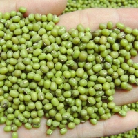 Green Mung Bean And Chick Peas