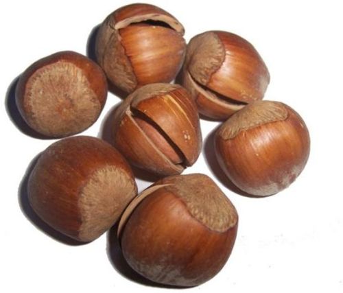 Hazelnut