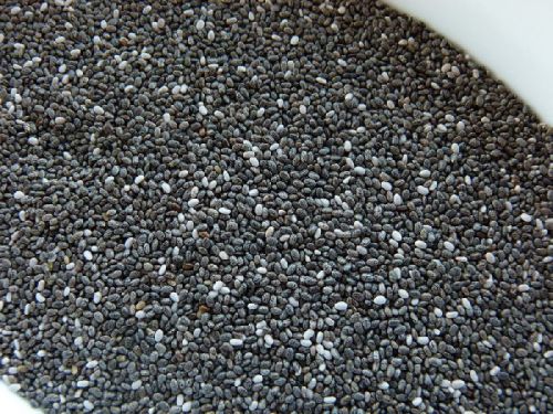 Inorganic Chia Seed, Brand Name : OEM, Purity : 99.99%
