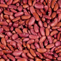 Light red kidney beans