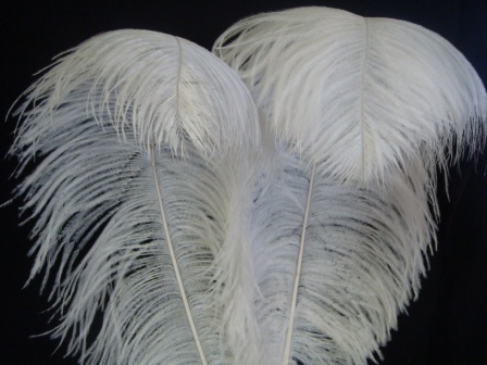 Ostrich Feather For Wedding Centerpiece