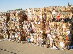 Paper Scrap, Pattern : Plain