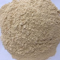 Premium Dry Garlic Powder, Packaging Type : bags