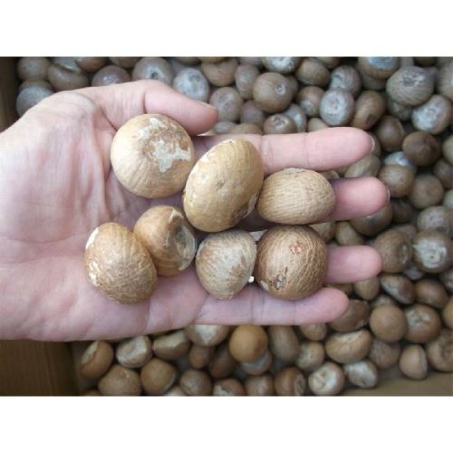 Whole and Split Betel Nut