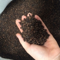 Whole Dried Pepper Seed, Packaging Type : black, Grade Standard : AA