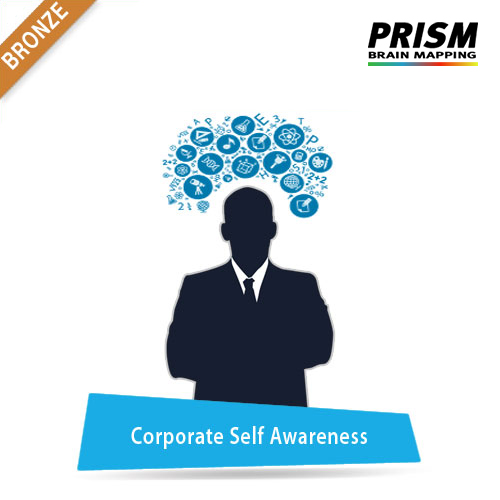 Corporate Self Awareness - Bronze