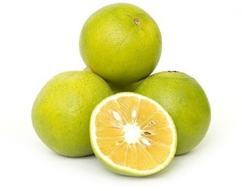 Fresh Sweet Lemon