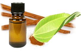 Cassia Oil, Certification : ISO