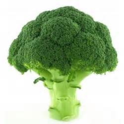 Fresh Broccoli