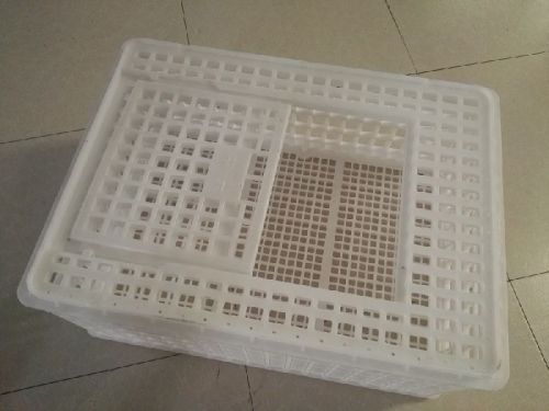 Virgin PP (EPS30R) Plastic Crates For Live Chicken Transportation