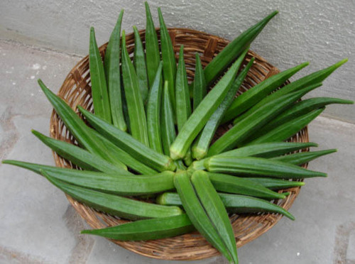 Hybrid Okra Seeds