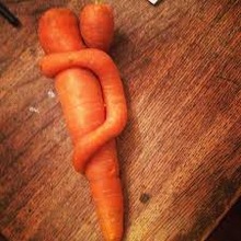 Common fresh carrot