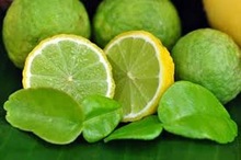 Common fresh green lemon