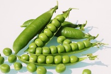 Common Fresh Green Peas
